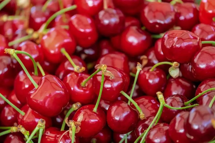 Best Tart Cherry Extract Alternatives for Sleep Support